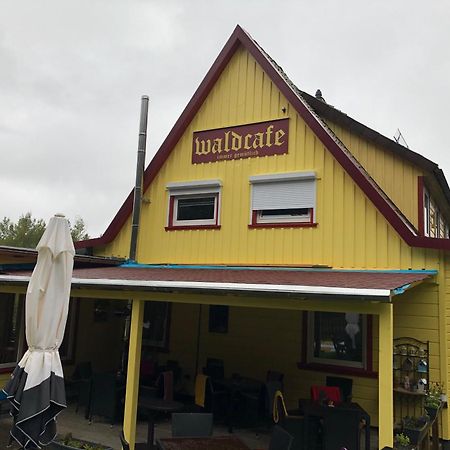 Gruppenhaus Das Waldcafe Altenau  Exteriér fotografie